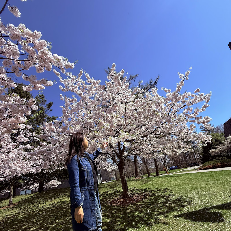 Sherry 食買玩賺 Logo