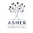 Asher Academy of Music