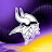 Minnesota Vikings