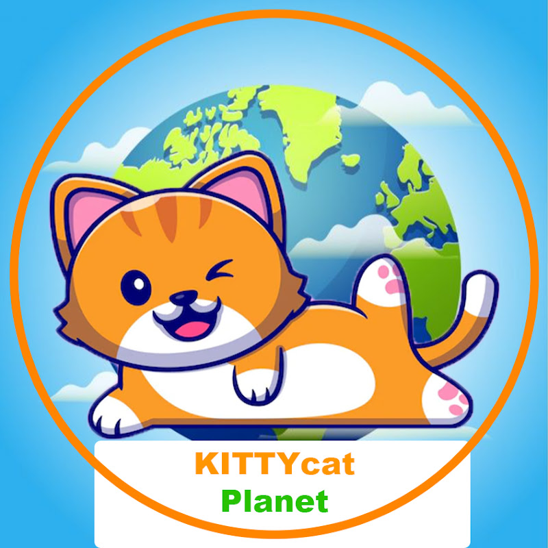 KITTYcat Vlogs