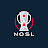 Northern Ohio Soccer League