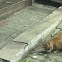 공부는 왜 해야하는 것 이며
