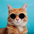 -spJcS-X248-channel-avatar-PET ALLOW 2.0