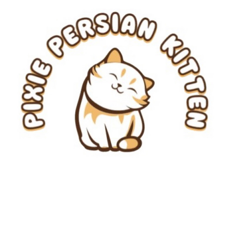 Pixie Persian Kittens
