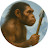 Prehistoric Hominid