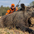 nwAYJoNPT4Q-channel-avatar-Top wild boar hunts
