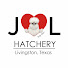 _ZXOs4C_OFc-channel-avatar-JL Hatchery