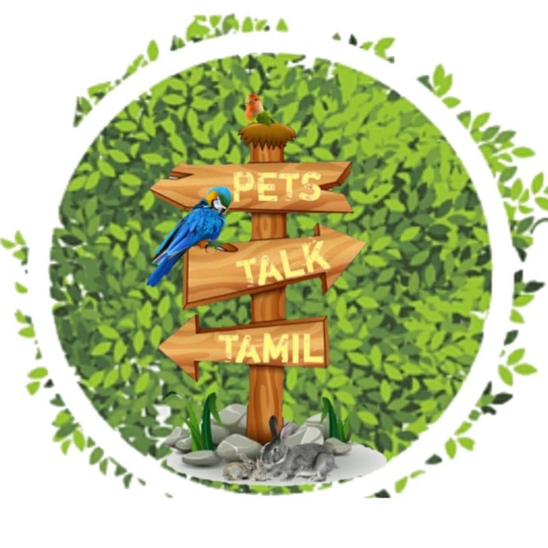 Pets Talk Tamil