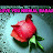 @younirmalbabaji9225
