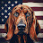 Bloodhound USA