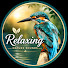 qWOTppyrX-I-channel-avatar-RNS Relaxing