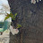 @tiny-f7n