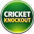 OyB_8hfAtT4-channel-avatar-Cricket Knockout