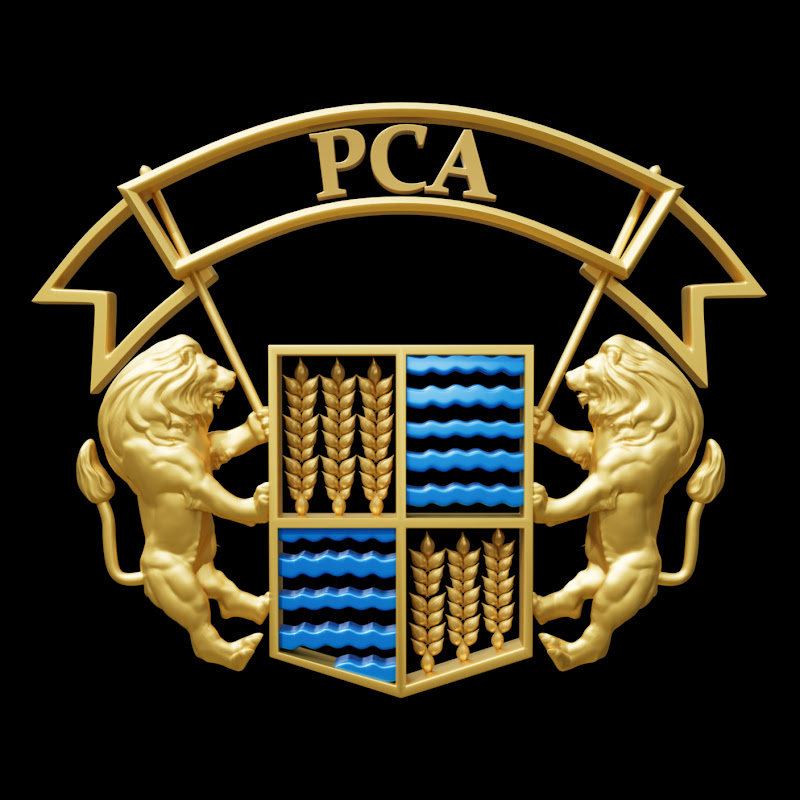 Punjab Cricket Association 