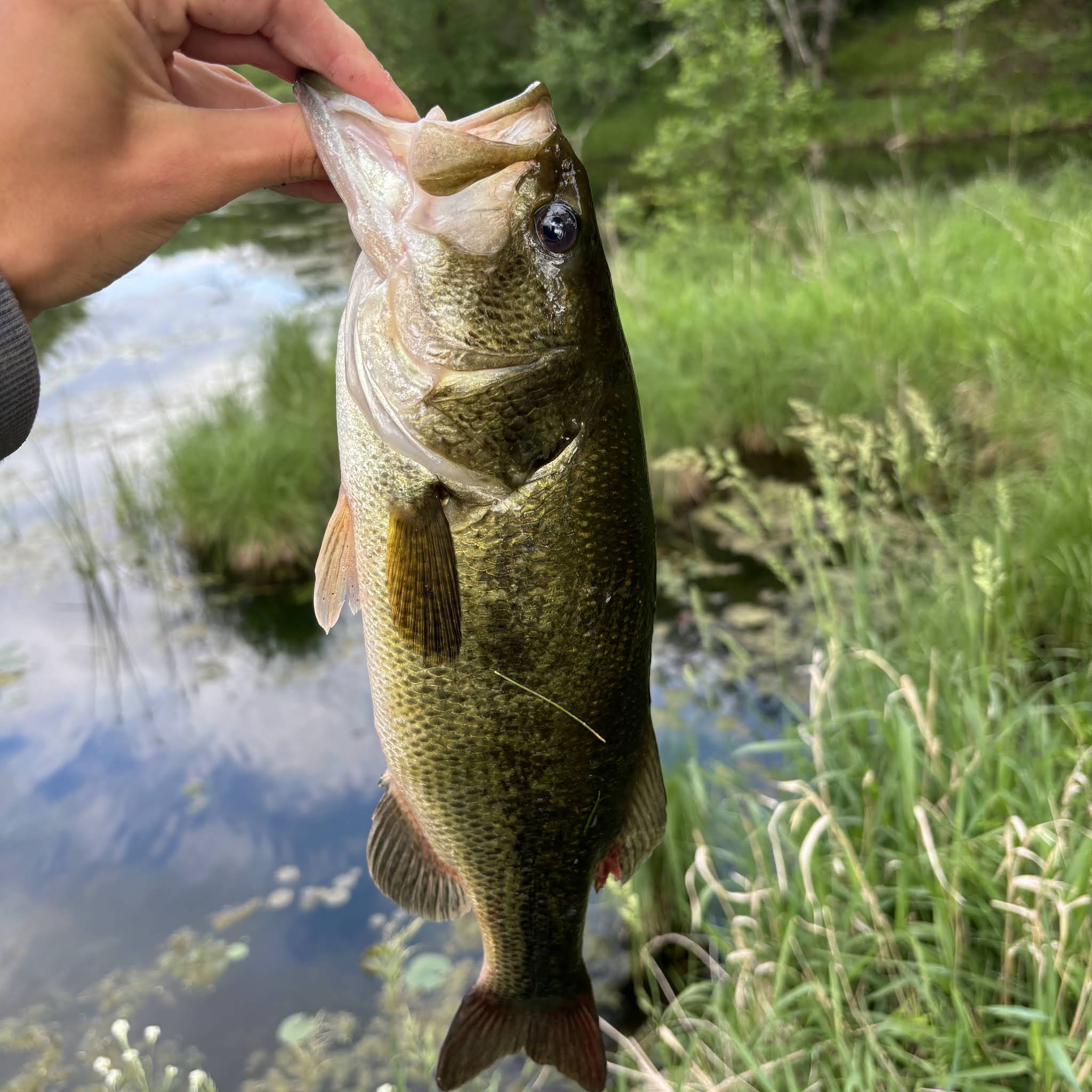 Post from Boeder Outdoors