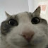 4YDehU0ZI8I-channel-avatar-Emil