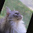 @The_Real_Zaineman's avatar