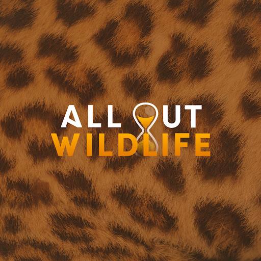 All Out Wildlife