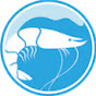 TransparentSea logo