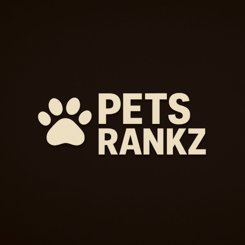 Ranking The Best Dog Moments Of All Time 🐶🏆 (You Won’t Believe No.1) #shorts