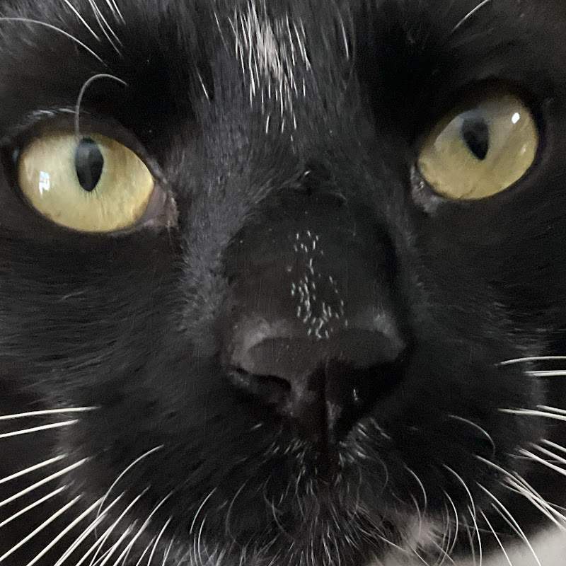 Maxie