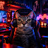 v5EWicj1gm8-channel-avatar-Viejo Gamer 