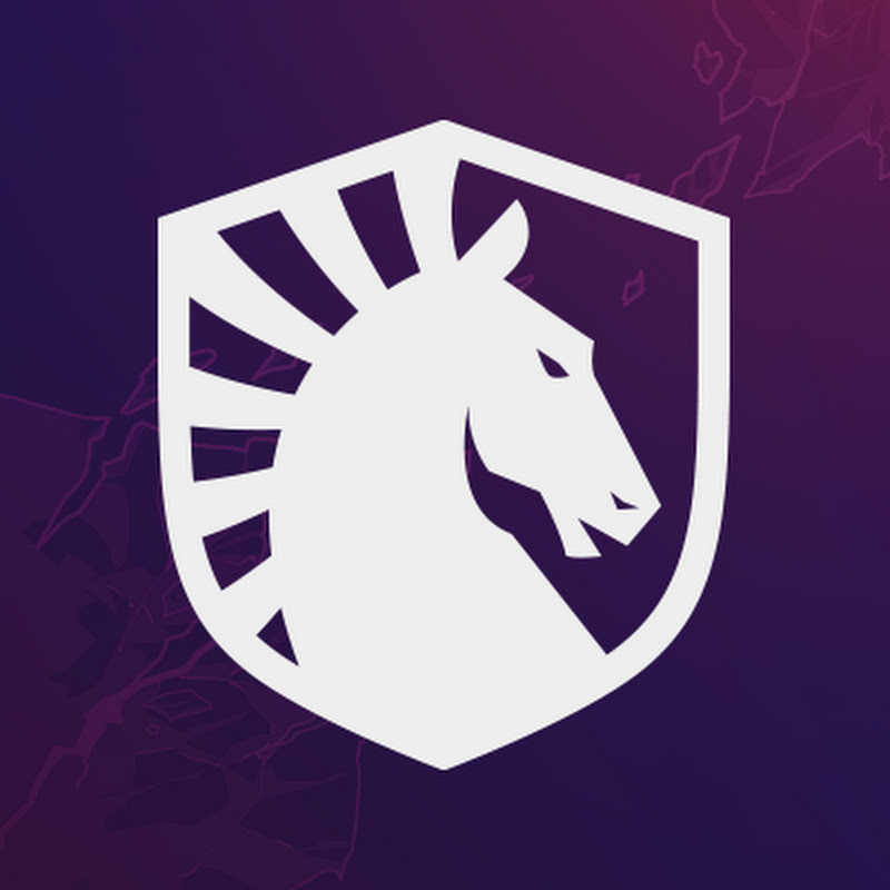 Team Liquid MMO