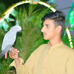 ROOHULLAH1