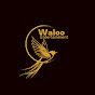 Waloo Entertainment  profile