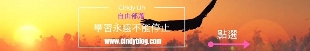 Cindy Lin YouTube channel avatar