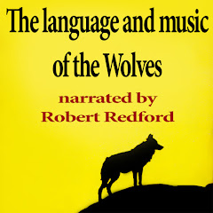Robert Redford - Topic
