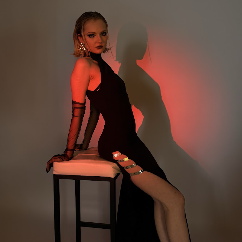 Ластовецкая Logo