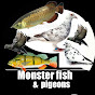 MONSTER FISH & PIGEONS