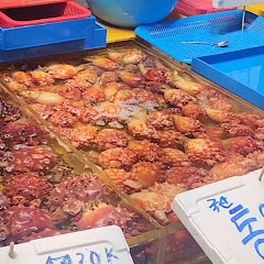 인천종합어시장 
