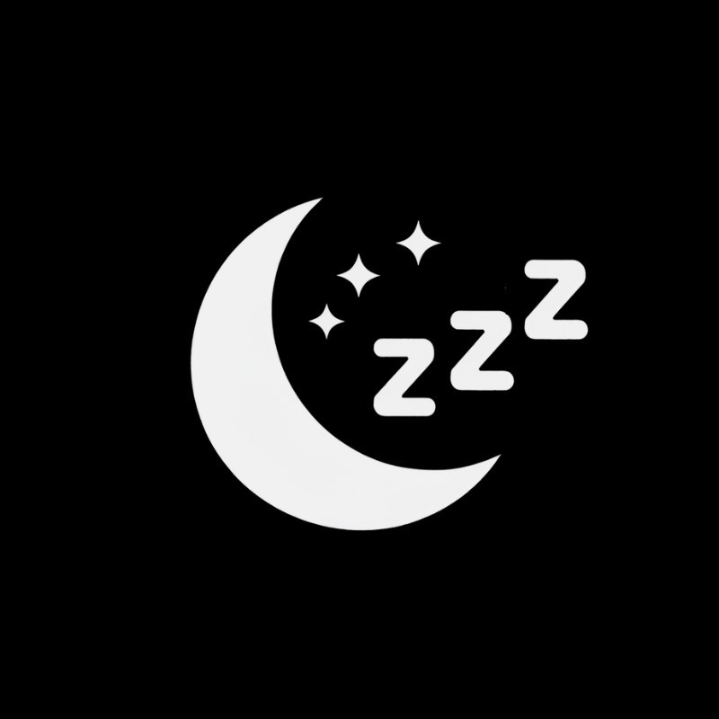 The Sleepy Historian Logo