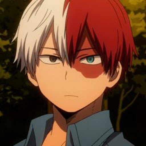 Shoto Todoroki