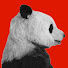 IVdyHeVttAM-channel-avatar-benitocheeto