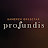  Profundis Chamber Orchestra