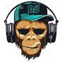 DJ monkey
