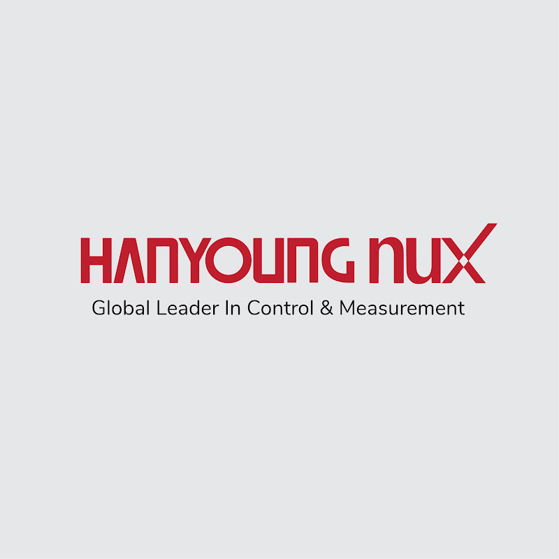 @hanyoungnuxvietnam profile picture