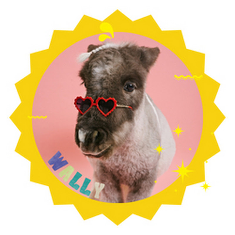 WallyFlop 월리플랍