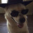@TheBoredEditor Avatar
