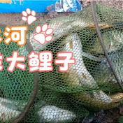 野钓手KK