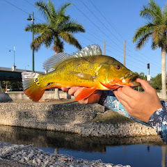 Simple Florida Fishing net worth
