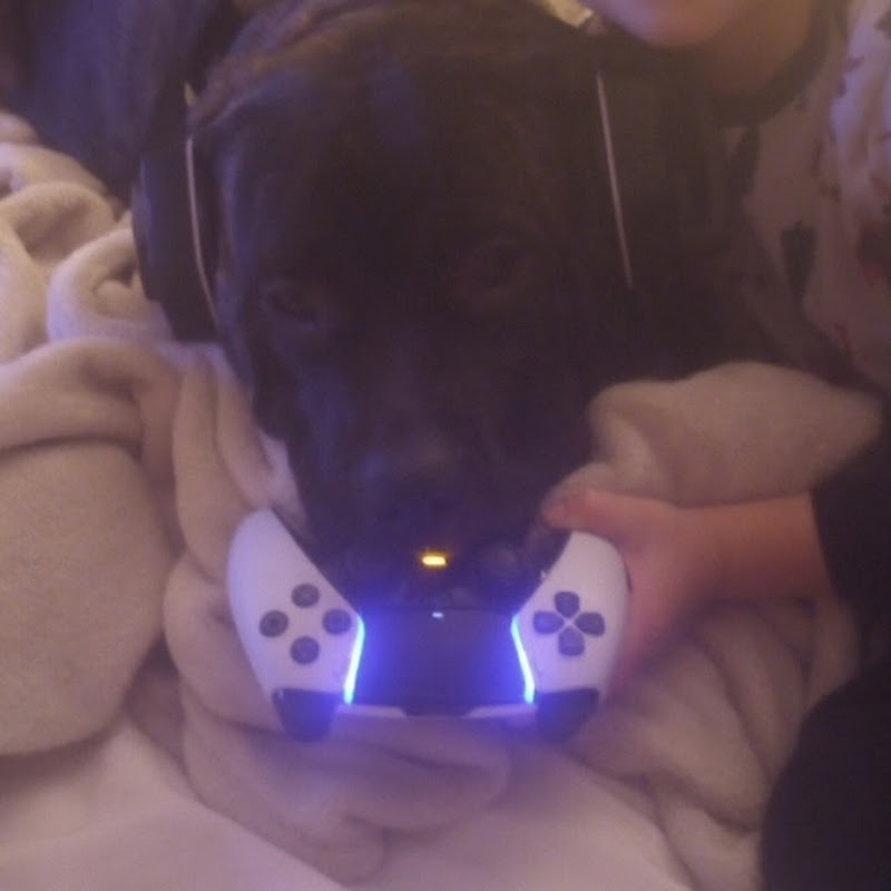 crazygamer996