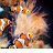 @flamboyantfish-k1v Avatar
