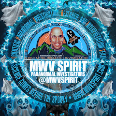 Paranormal Declassified: The SPIRIT Files