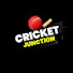 P-BX_5tukdA-channel-avatar-CRIC JUNCTION 