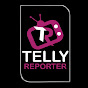 Telly Reporter Image Thumbnail