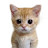 @chizwiz123's avatar
